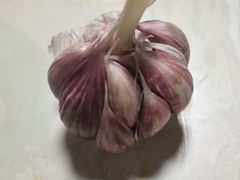 -老字号老马炕锅烤肉城