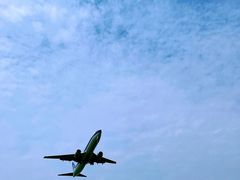 -空港花田景区