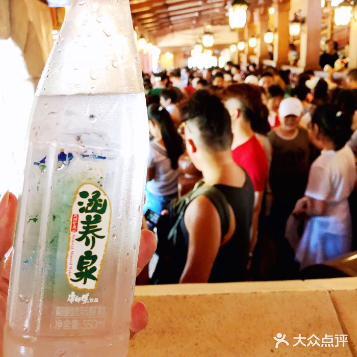 上海迪士尼度假区排队的人山人海图片