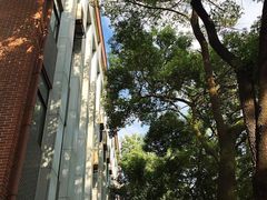 -四川大学(望江校区)