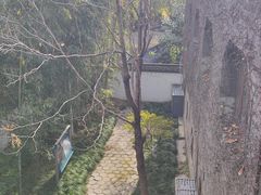 -梅园