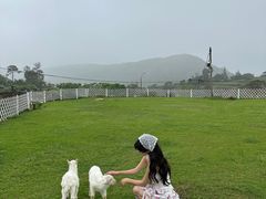 -大姆山草场