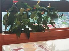 -粤点越有·茶点·粤菜(樵岭国际店)