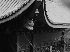 -灵隐飞来峰景区