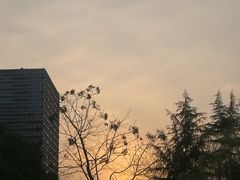 -木塔寺遗址生态公园