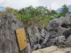 -千岛湖石林
