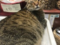 -么凤(波斯富街店)