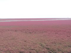 -红海滩国家风景廊道