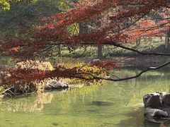 -古韵餐厅(湖畔大学店)