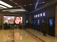-SFC上影影城(北京大兴龙湖天街IMAX店)