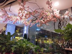-舌尖上的食缘花园主题餐厅