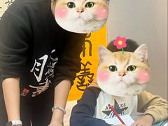 -汉翔书法丨书法·美术·硬笔·国画(五道口校区)