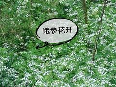 -南山风景名胜区