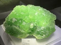 -湖南省地质博物馆