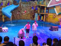 -烟台海昌鲸鲨海洋公园