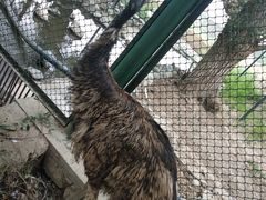 -新疆天山野生动物园