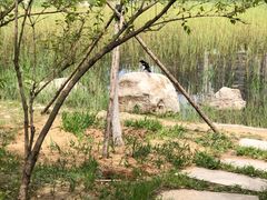 -成吉思汗公园