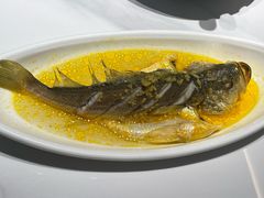 -锦顺海鲜•口味菜(李村店)