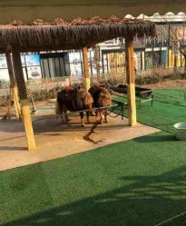 -萌宠亲子动物乐园(槐房万达店)