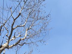 -中共上海市委党校 上海行政学院