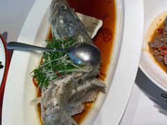 -院里寻菜·祖庵菜宴请(观沙岭店)