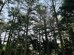 -八大关景区