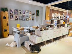 -藏猫猫咖啡主题馆(中央大道店)