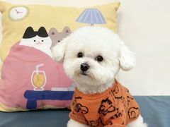 -美联众合动物医院·24h京西诊疗中心