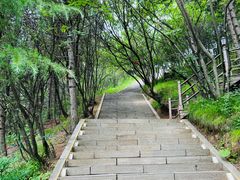 -塔云山
