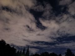 -四川大学(华西校区)