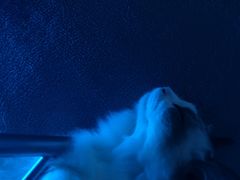 -零纪元VR体验馆·桌游(黄浦店)