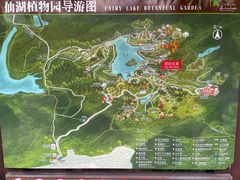 -深圳仙湖植物园