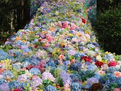 -上海共青森林公园