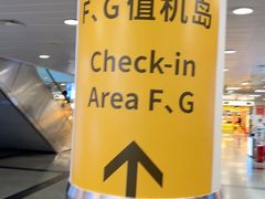 -厦门高崎国际机场-T3航站楼