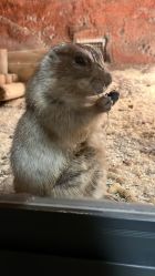 -酷嗒动物文化乐园(cutezoo西溪乐天城店)