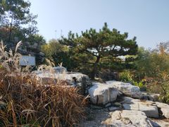 -燕郊植物园