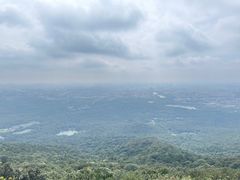 -紫金山山顶公园