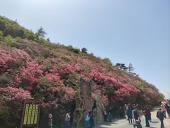-木兰云雾山