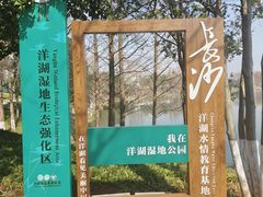 -洋湖国家湿地公园