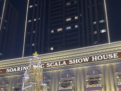 -斯卡拉演艺集团