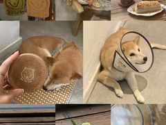 -三目仓咖啡(贤南路店)