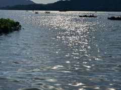 -西湖外事游船(湖滨二公园外事游船码头)