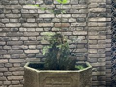 -鱼桥巷·美学川菜