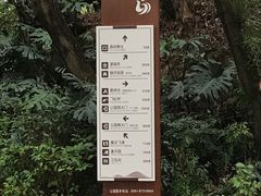 -金鸡山公园