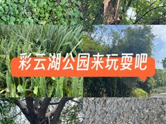 -重庆彩云湖湿地公园