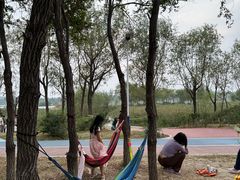 -绿堤公园
