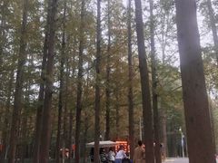 -日照灯塔风景区