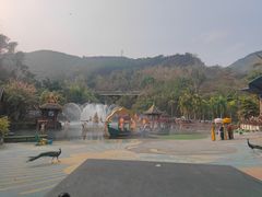 -西双版纳原始森林公园