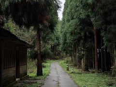 -武陵山森林公园