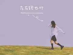 -荷兰花海